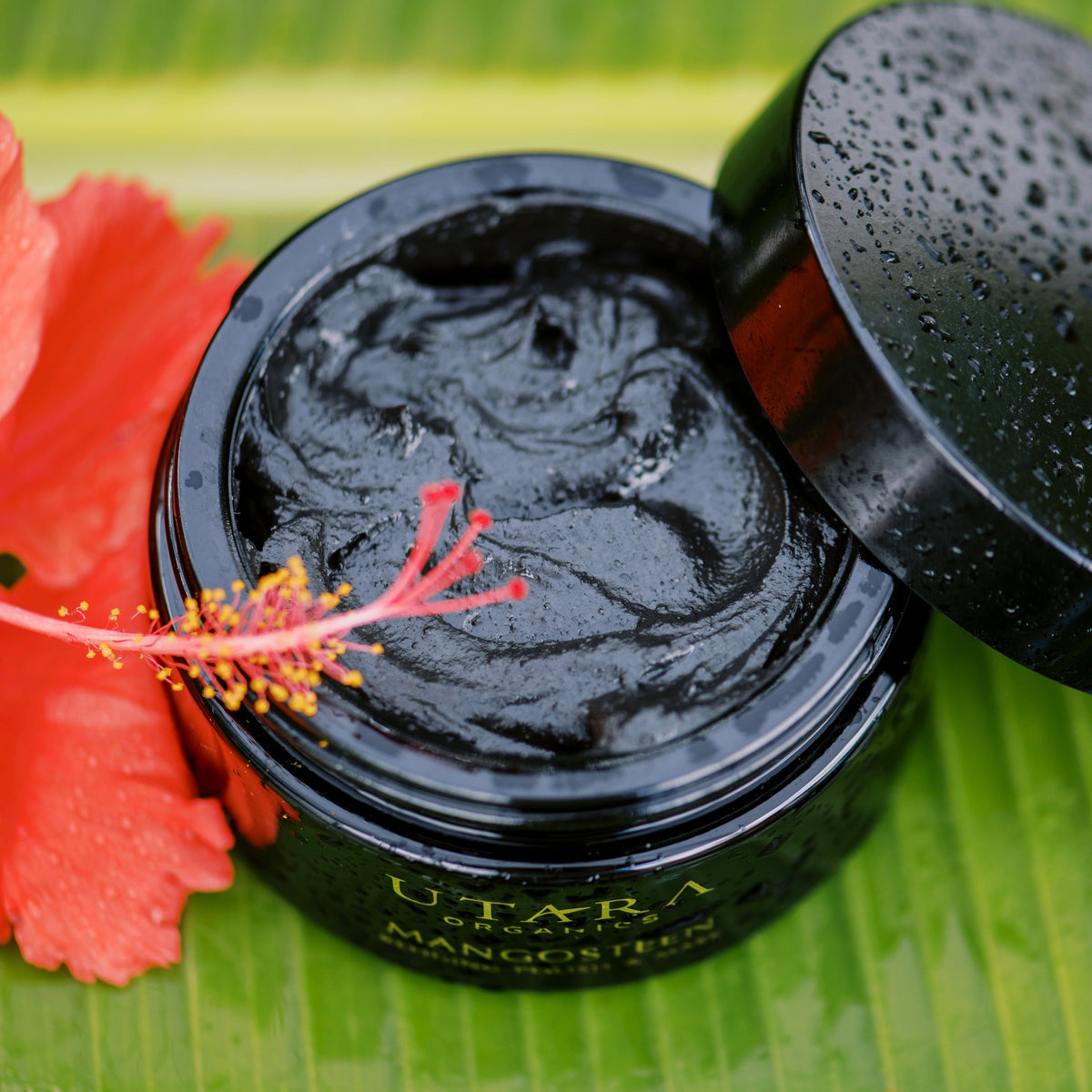 Refining Polish & Mask UTARA ORGANICS.