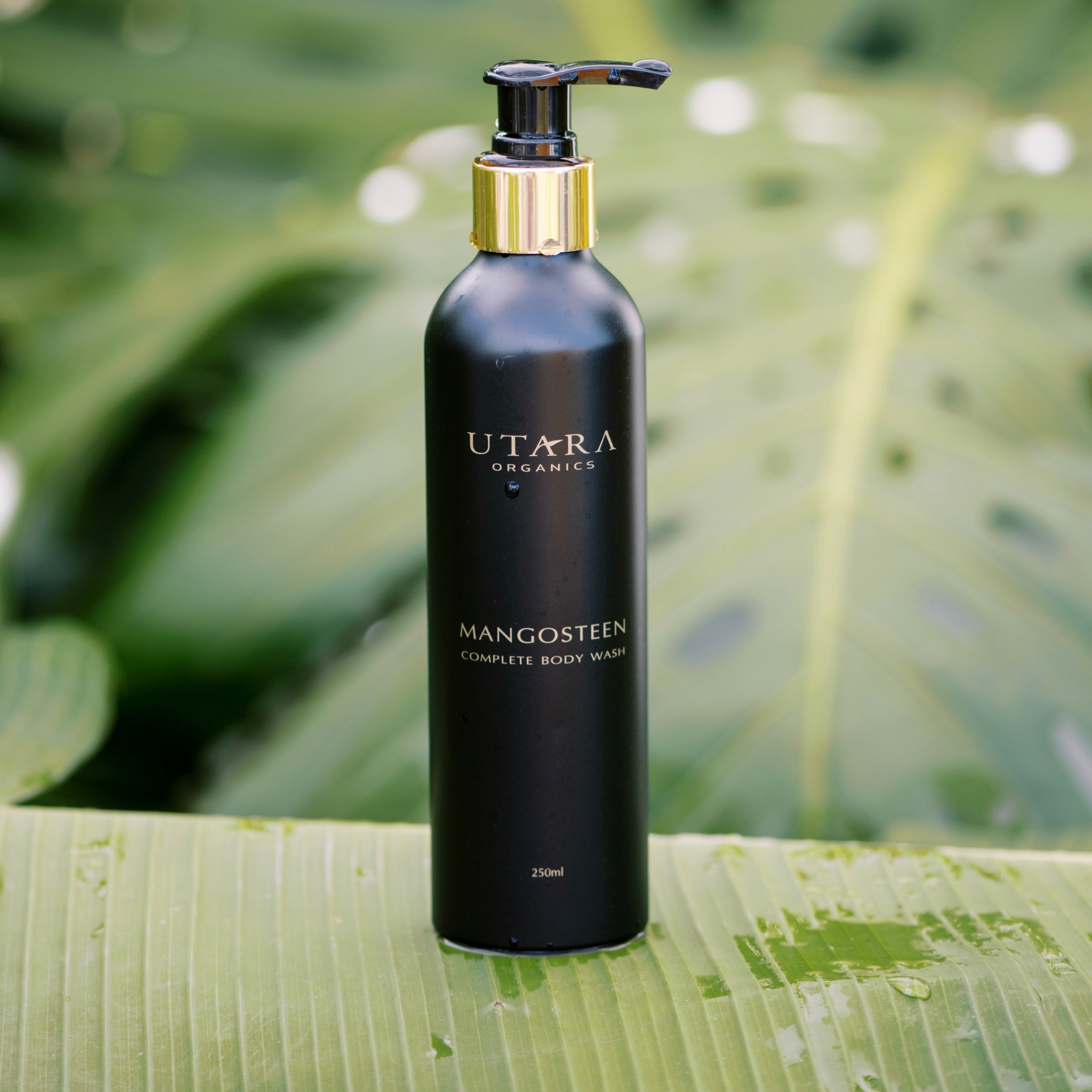 Complete Body Wash