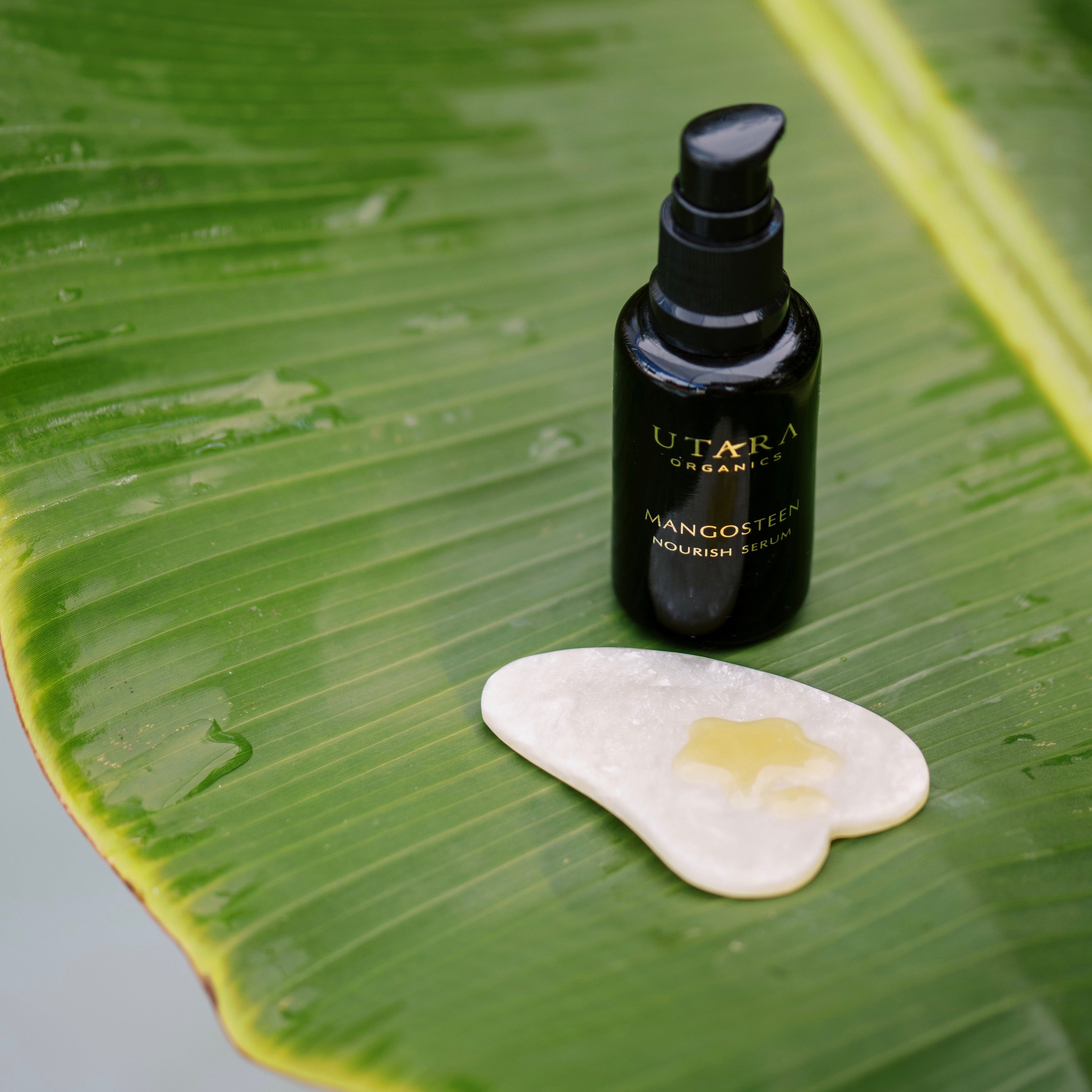 Nourish Serum