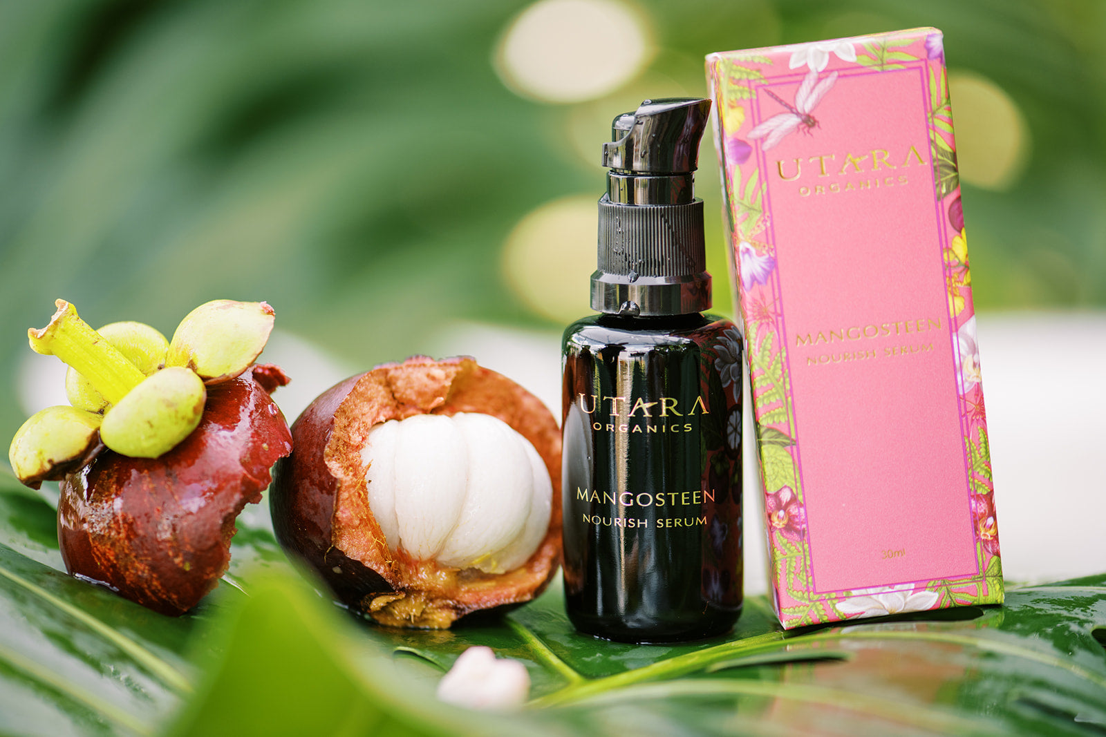 Nourish Serum