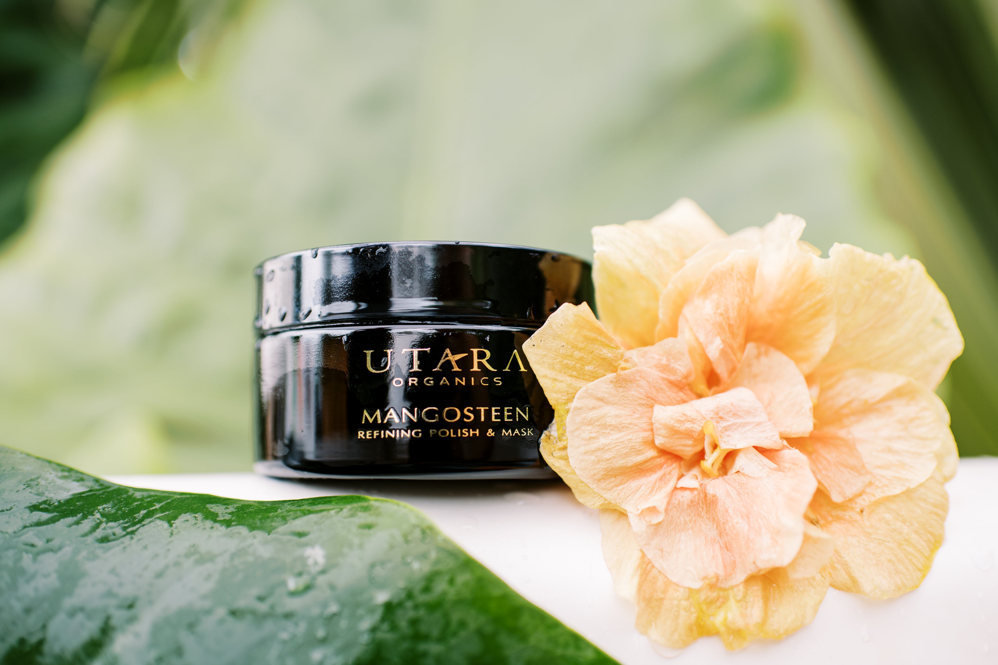 Refining Polish & Mask