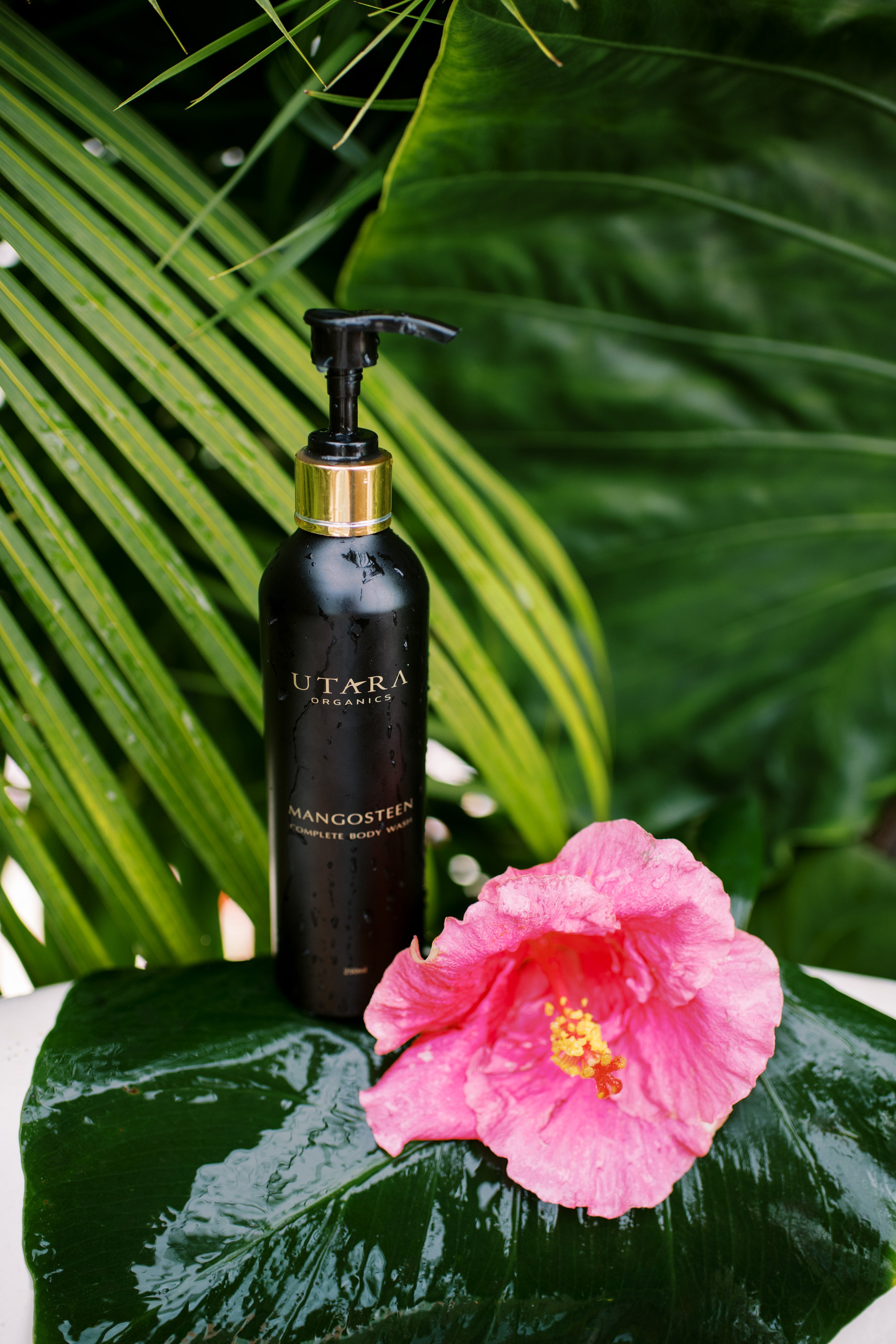 Complete Body Wash