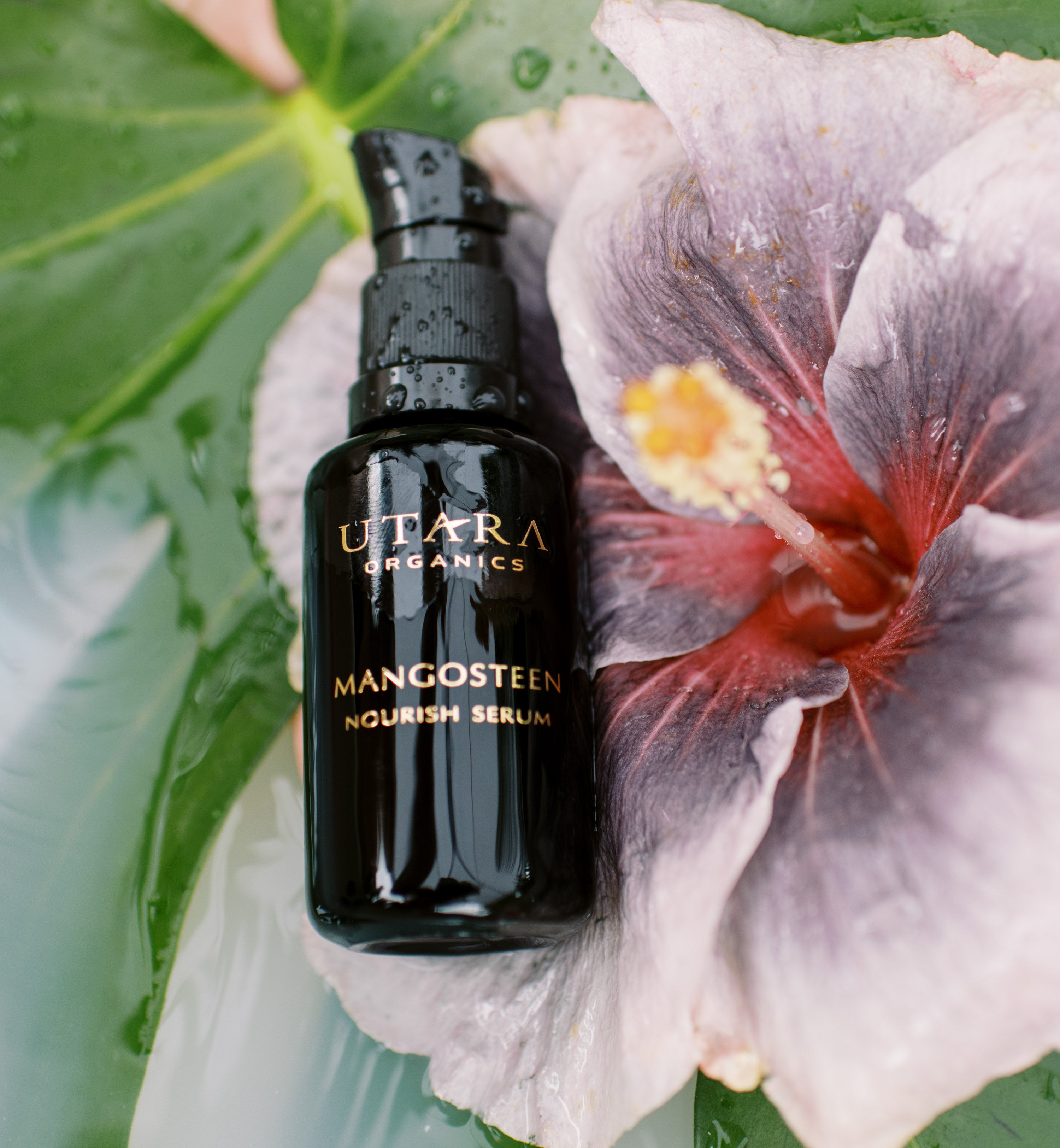 Nourish Serum